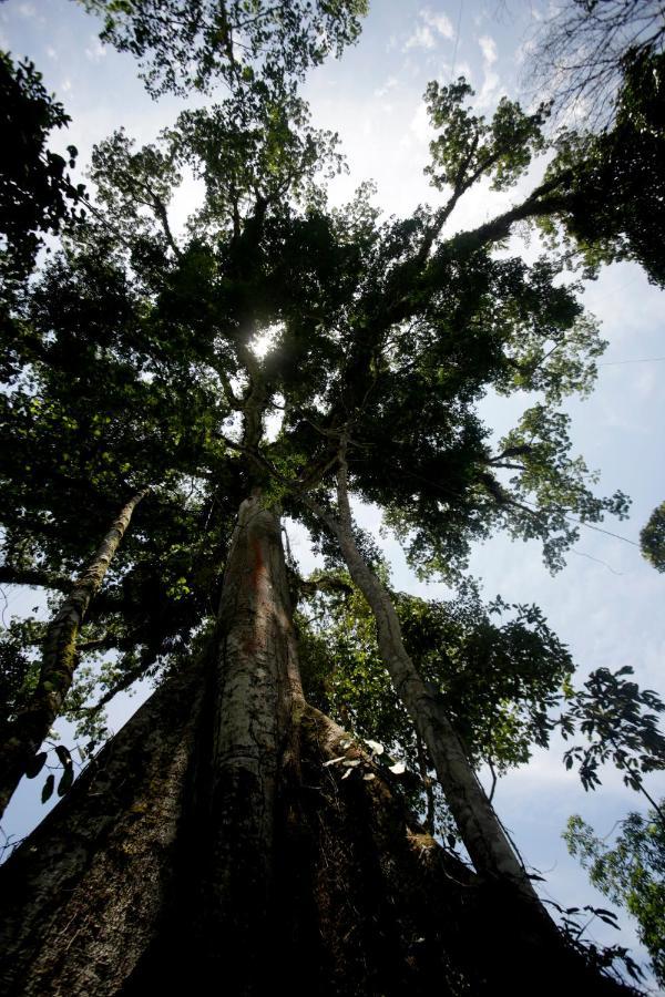 Misahualli Amazon Lodge Luaran gambar