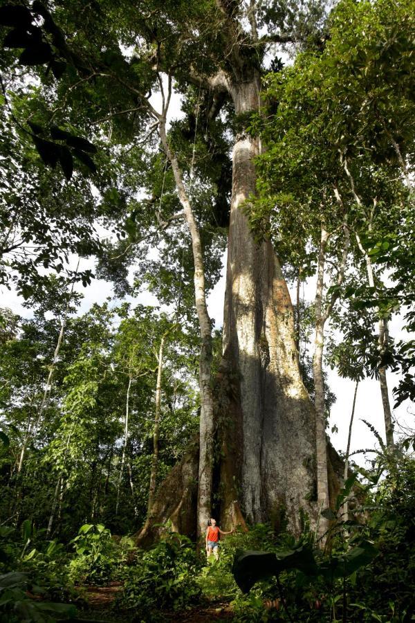 Misahualli Amazon Lodge Luaran gambar