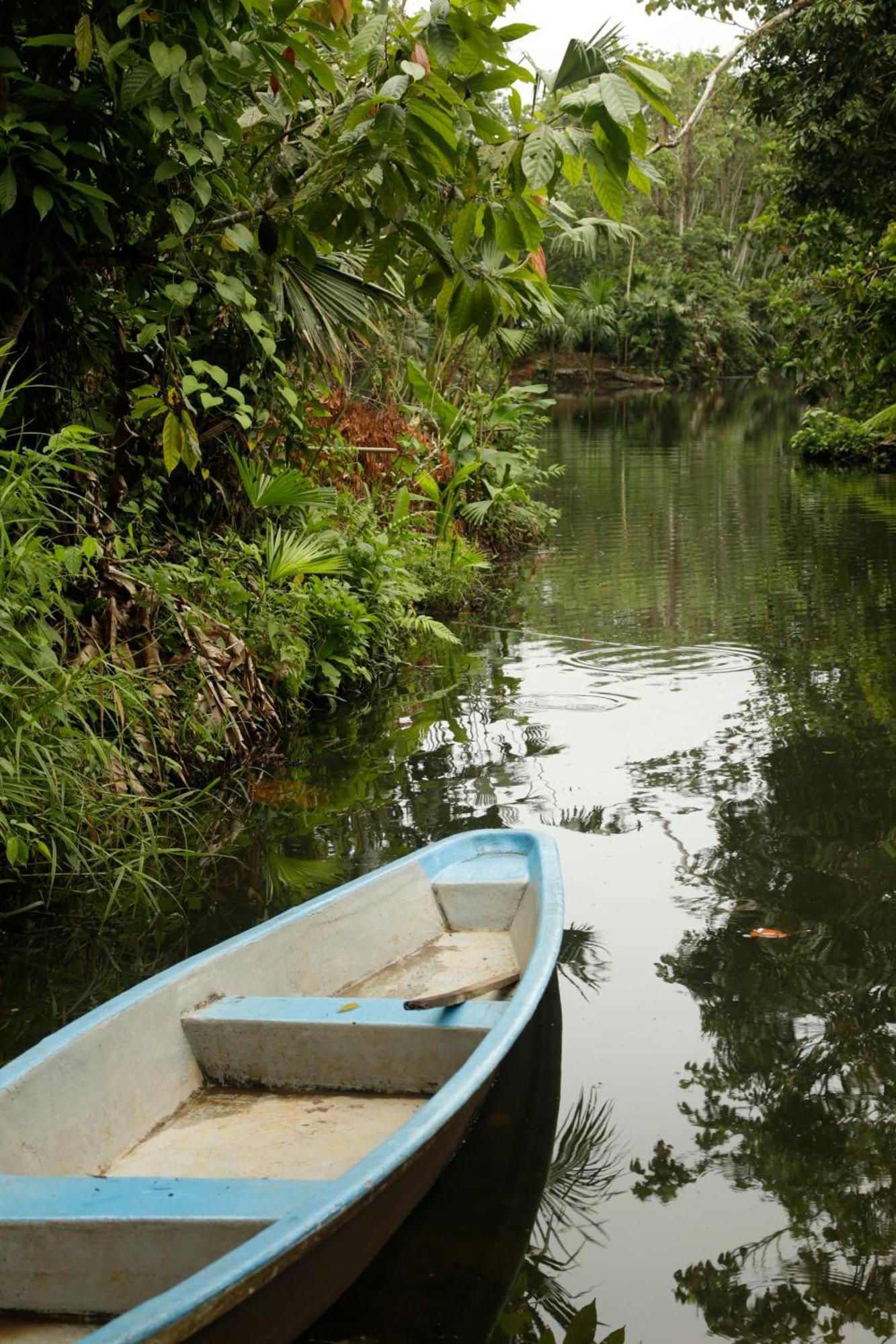 Misahualli Amazon Lodge Luaran gambar